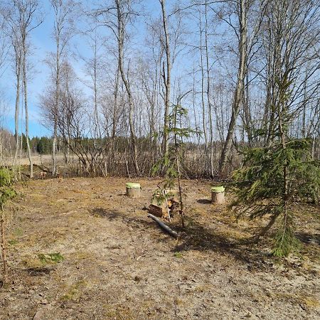 Paide Homestay Kriilevalja Bagian luar foto